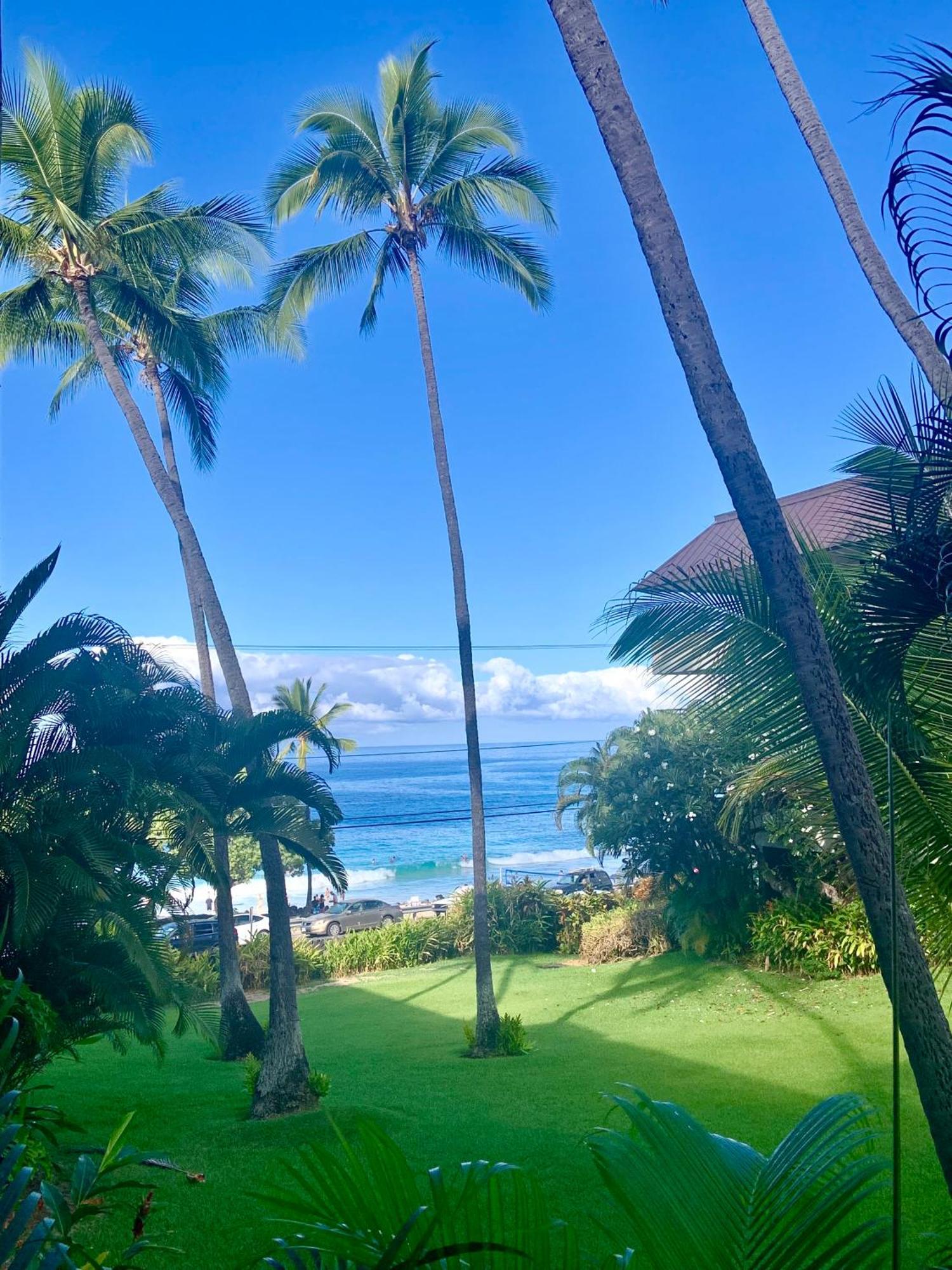 Magic Sands Beach View, 2B2B, Ac, Pool, Sleeps 6 Kailua-Kona Esterno foto